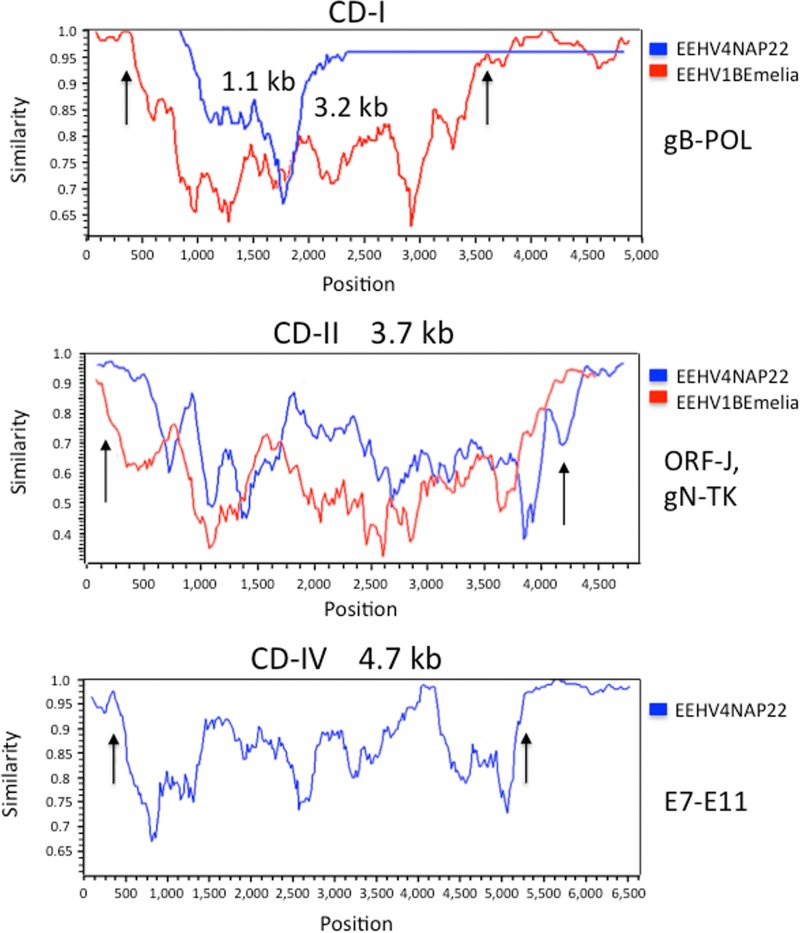 FIG 6 