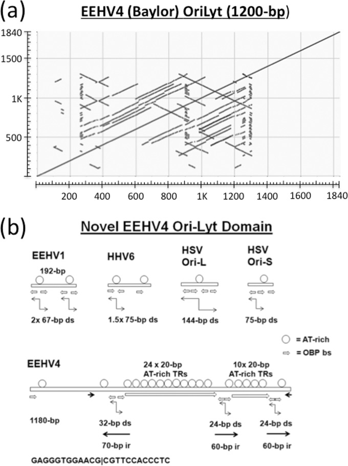 FIG 5 