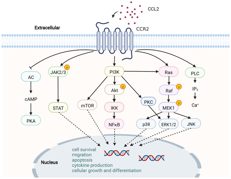 Figure 2