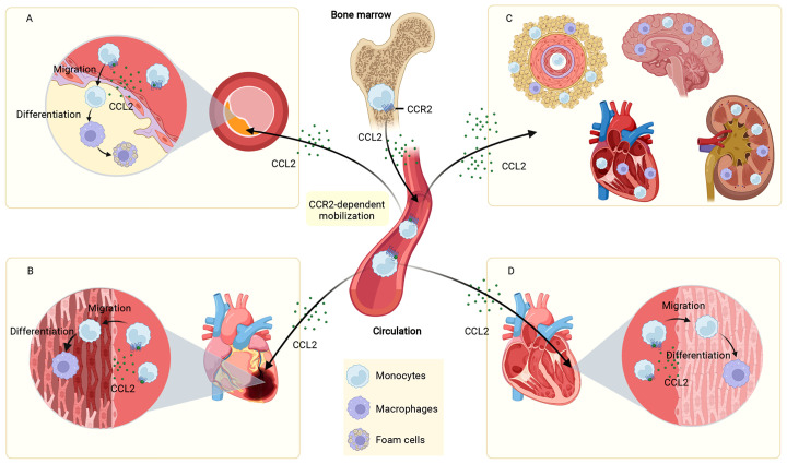 Figure 3