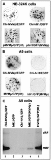 FIG. 3.