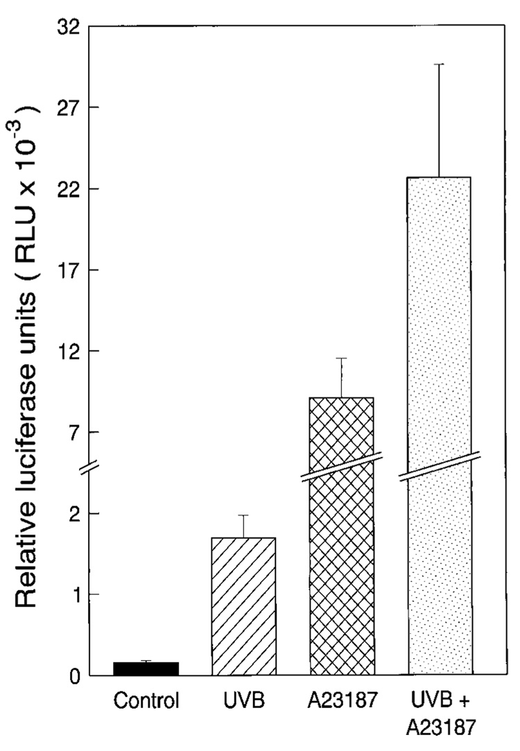 FIG. 8