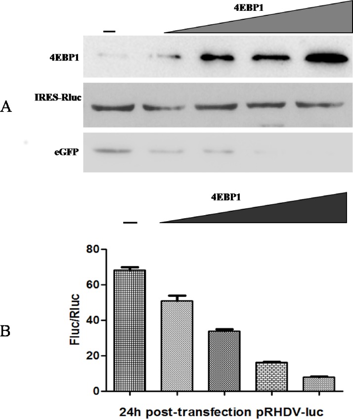 Fig 5