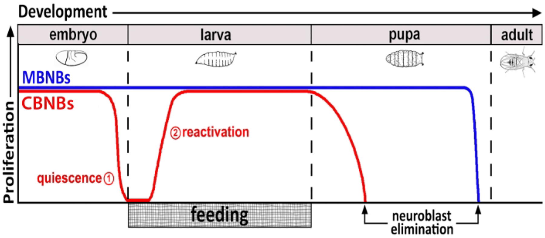 Figure 1: