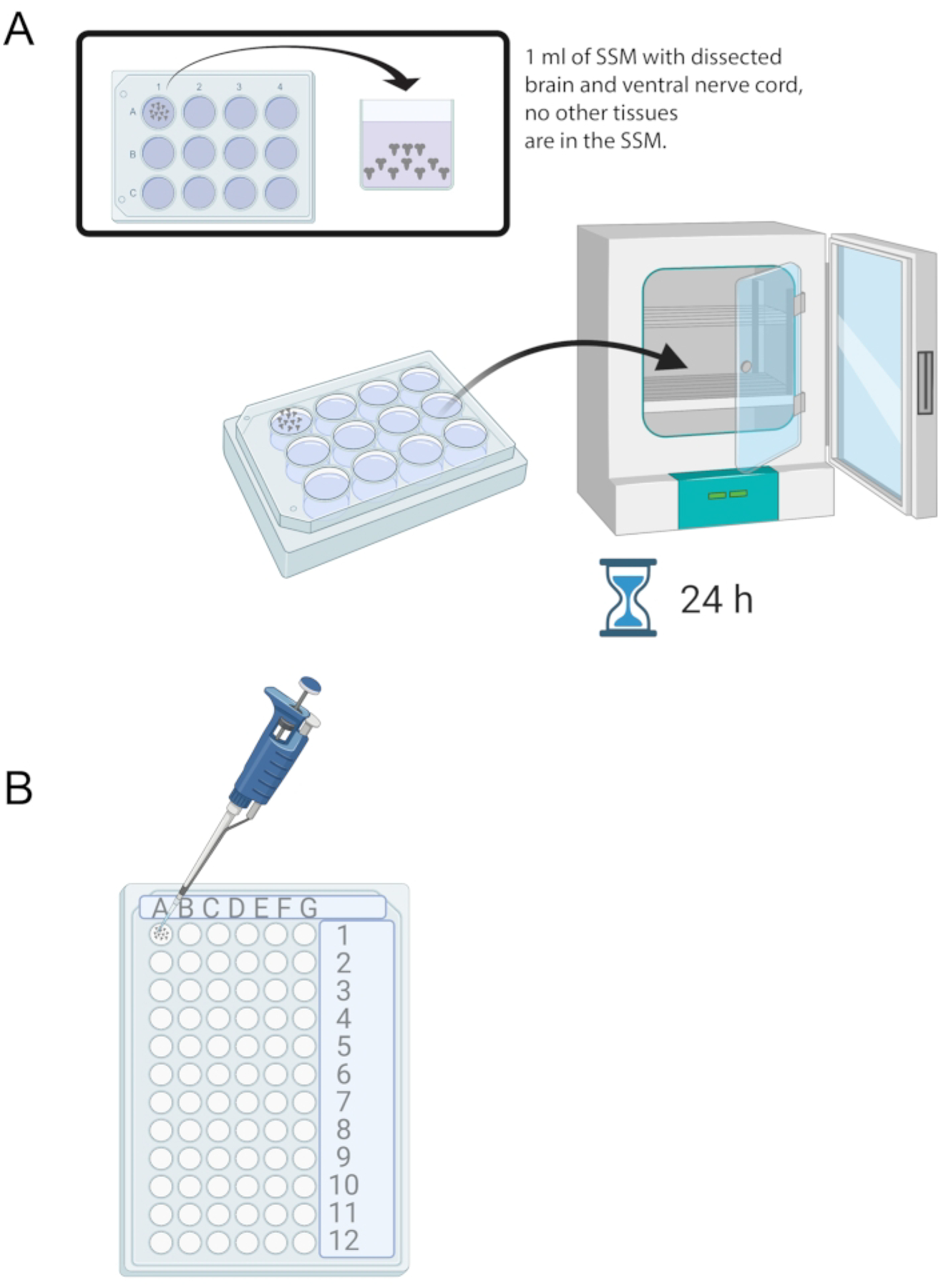 Figure 4: