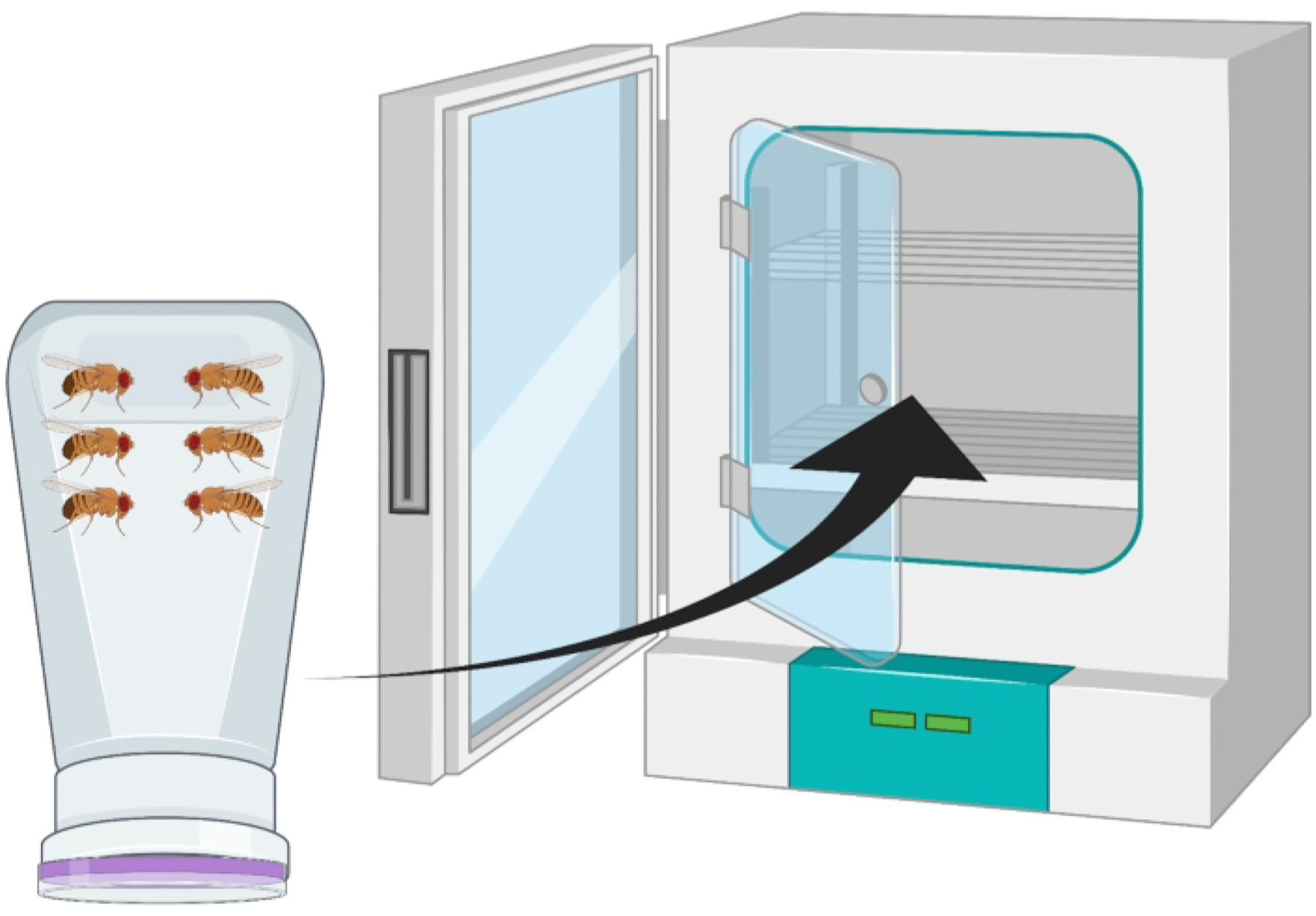 Figure 2: