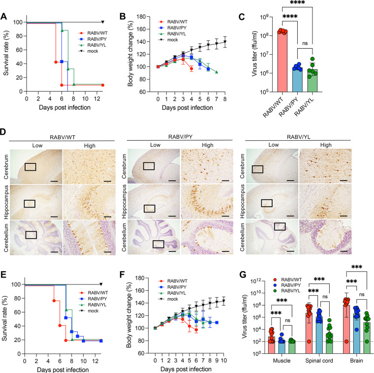 FIG 6