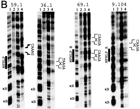 FIG. 6