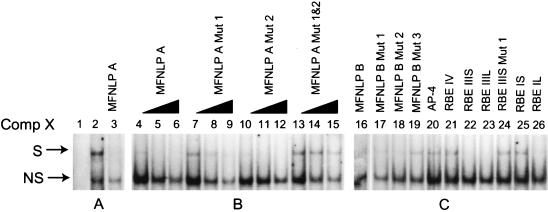 FIG. 3