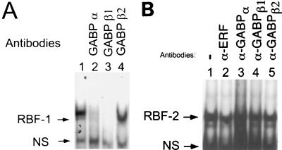 FIG. 8