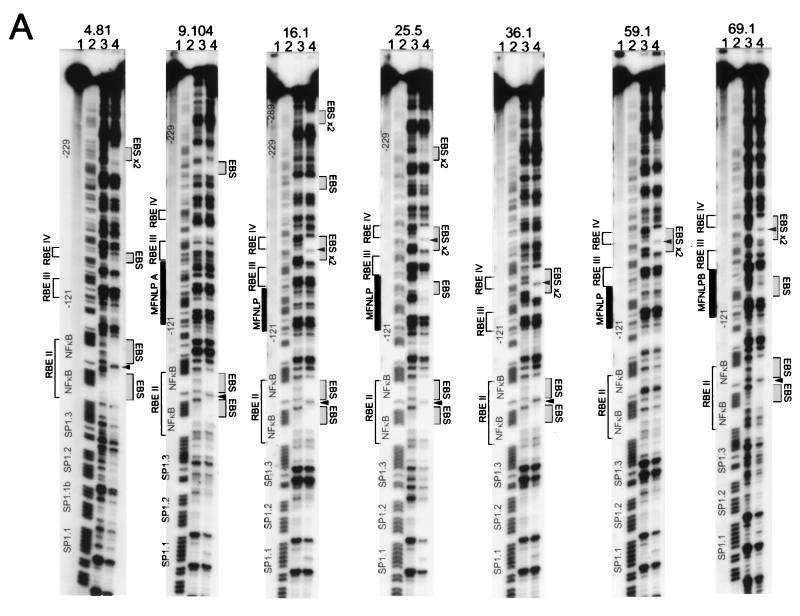 FIG. 6