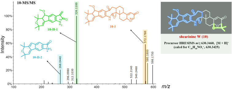 Fig. 7