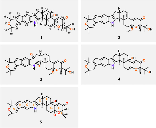 Fig. 2