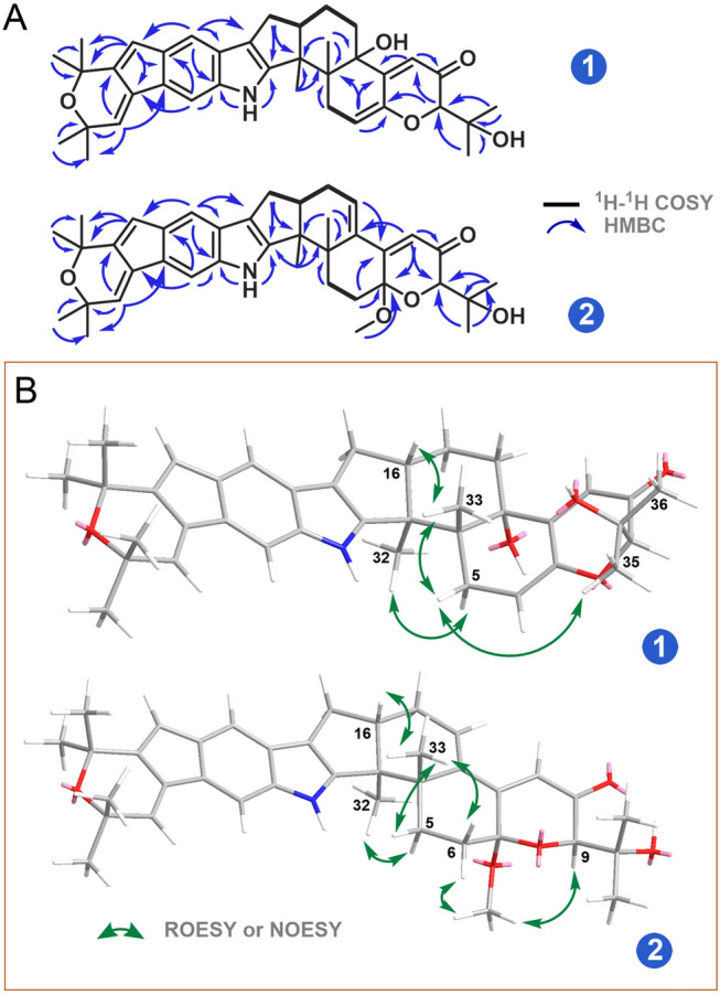 Fig. 3