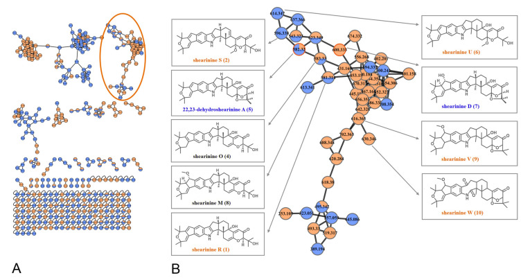 Fig. 1