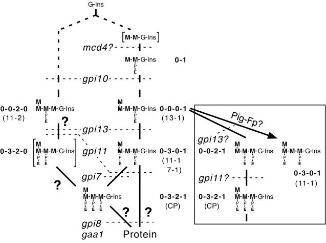 Figure 11