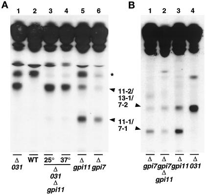 Figure 10