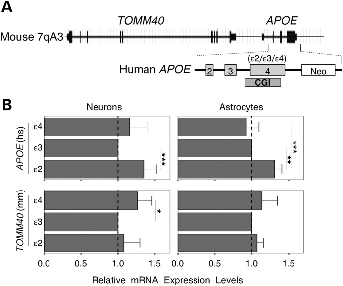 Figure 5.