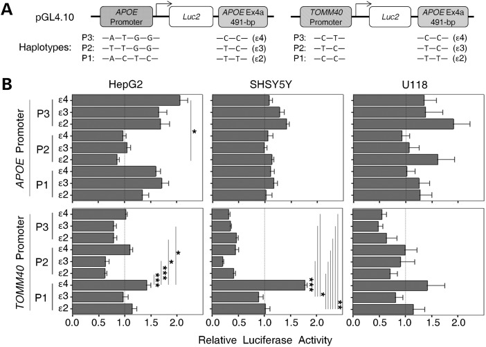 Figure 3.