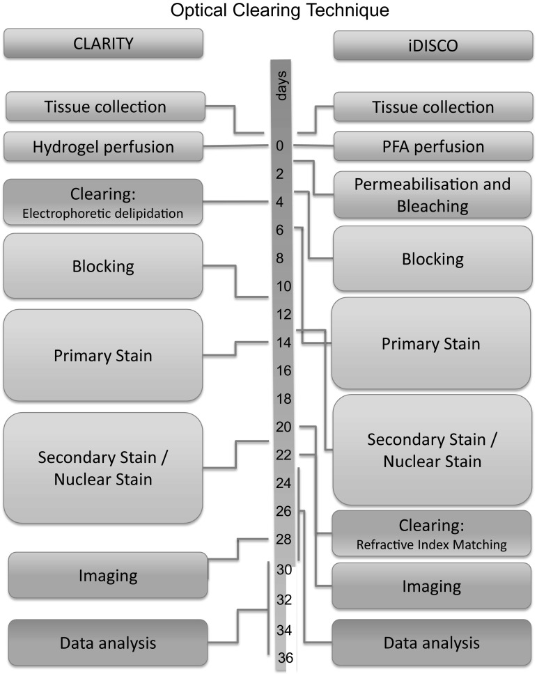 Fig. 6