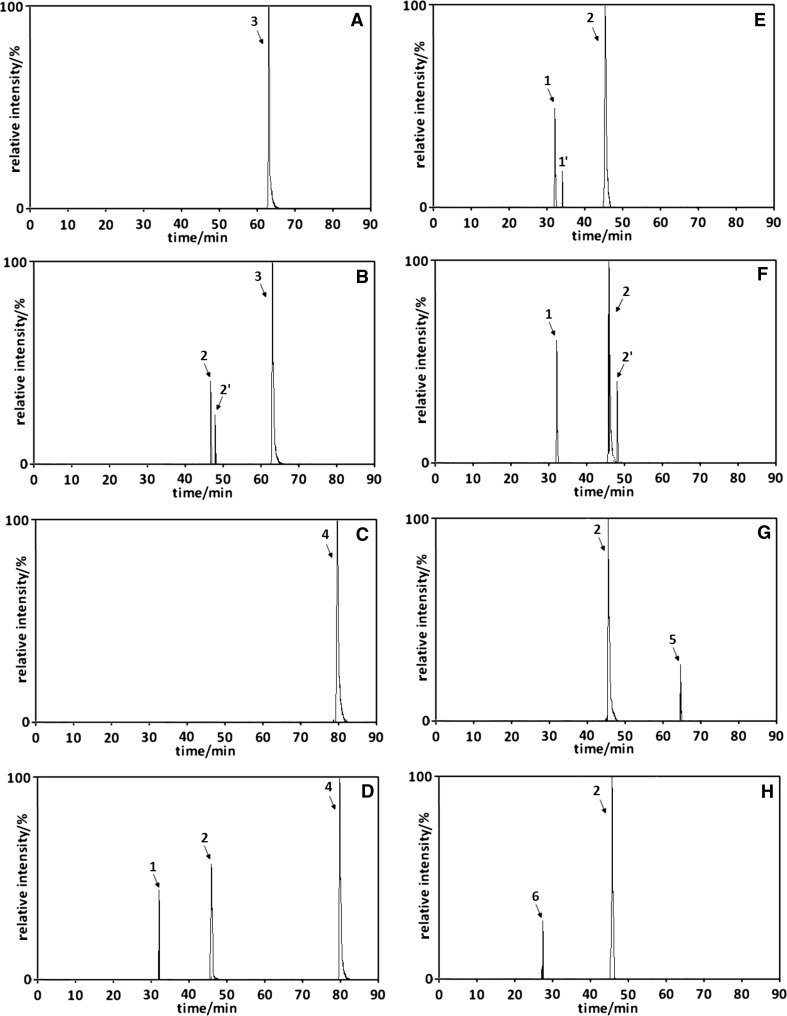 Fig. 1