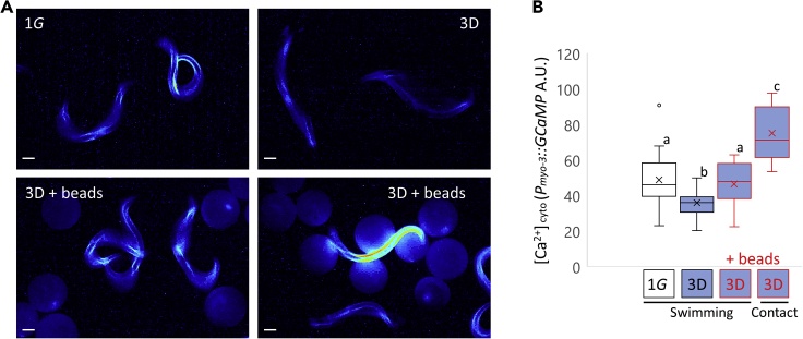 Figure 6