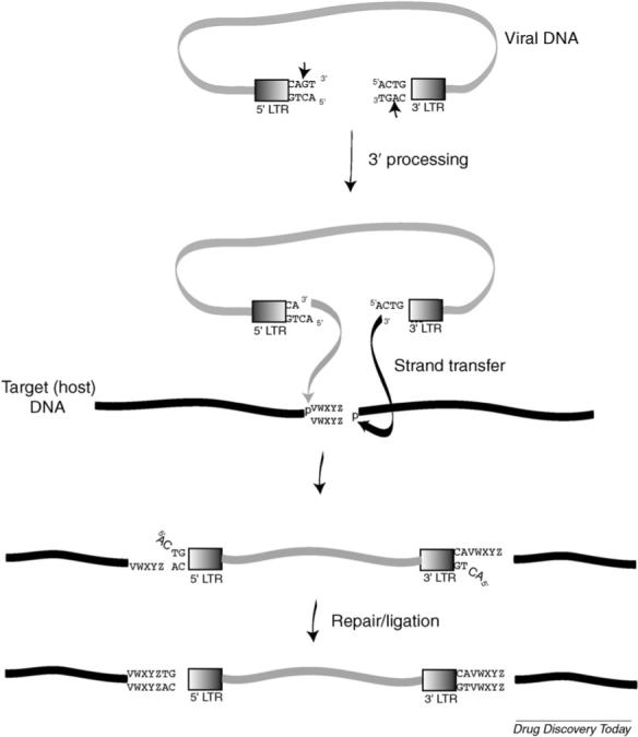 FIGURE 2