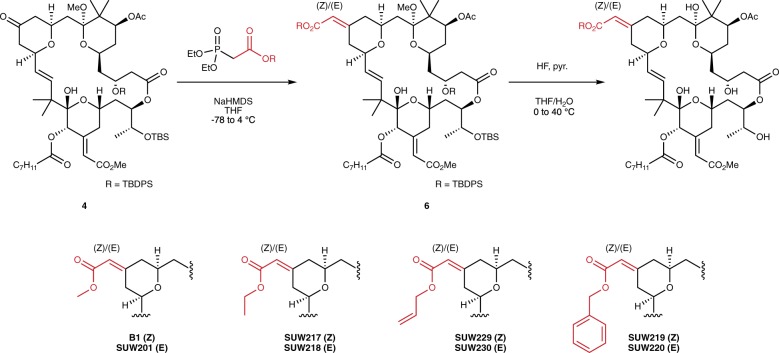 Fig. 3