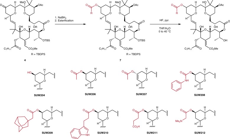 Fig. 4