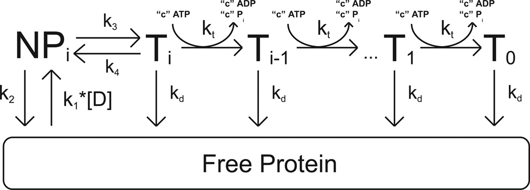 Scheme 4