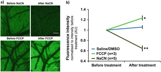 Fig. 29.1