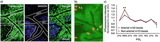 Fig. 29.3