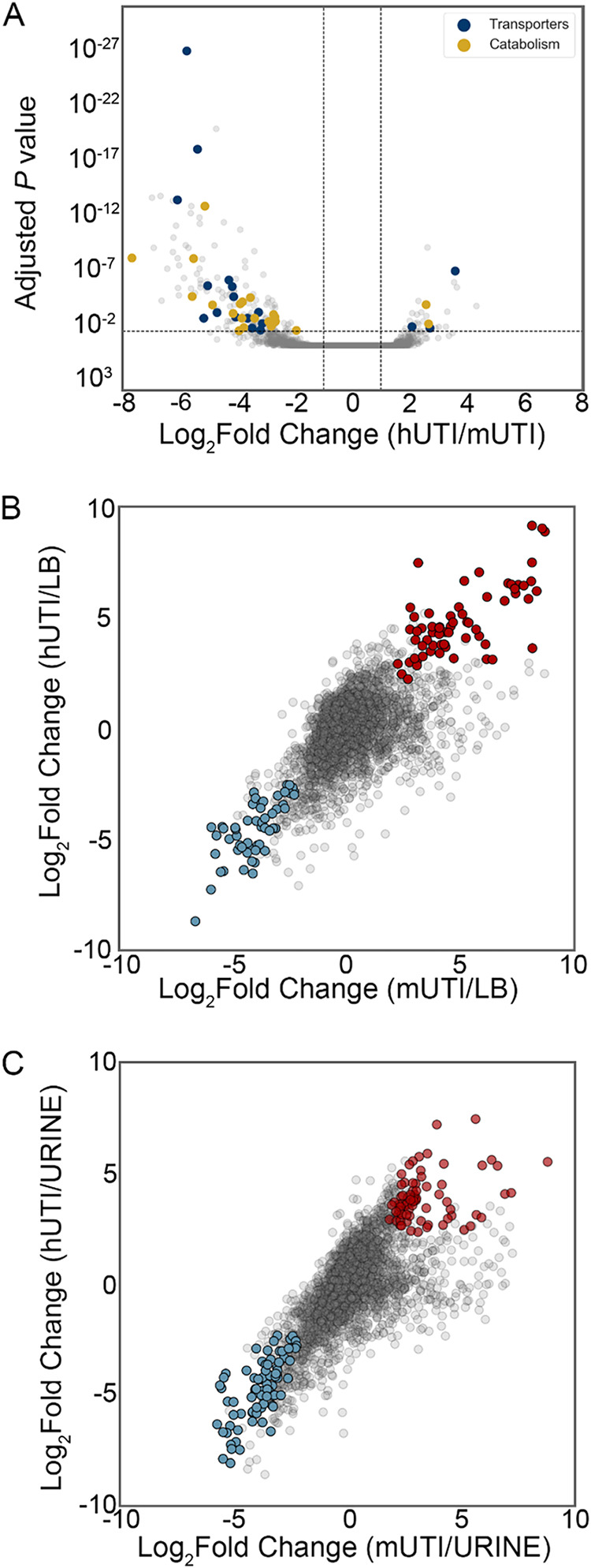 FIG 5