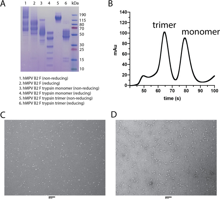 FIG 1