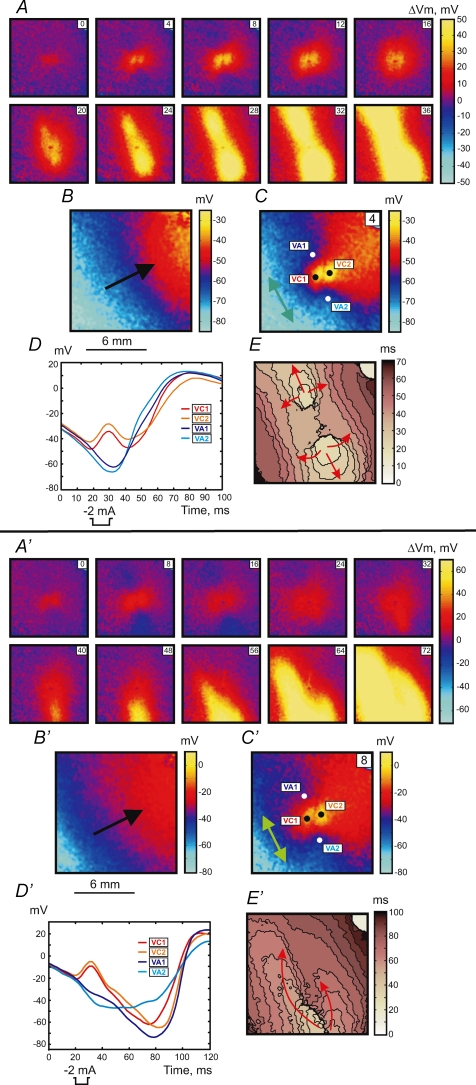 Figure 6