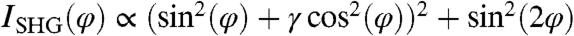 graphic file with name pnas.0914782107eq5.jpg