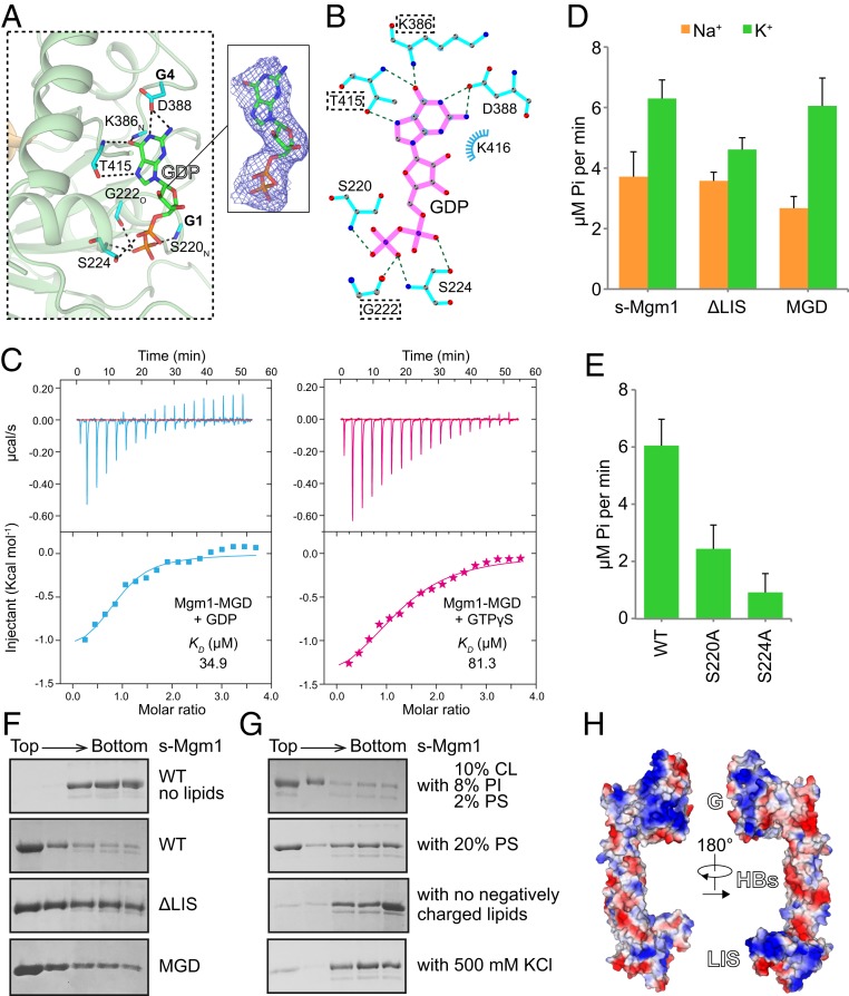 Fig. 2.