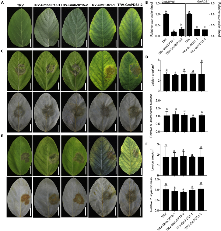 Figure 3