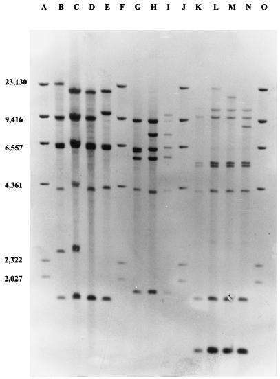 FIG. 1