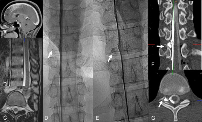 Fig. 5