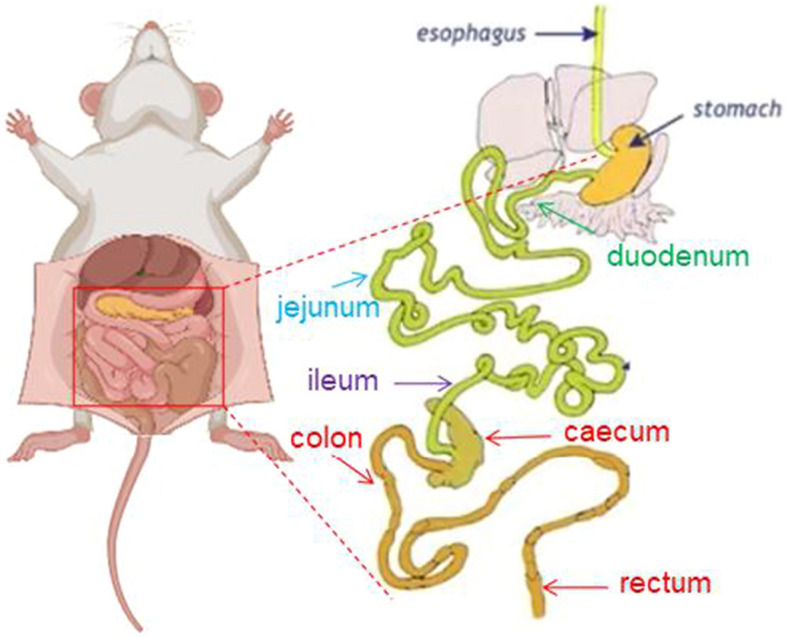 Fig. 3