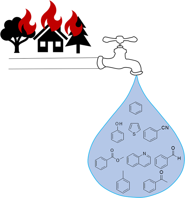 graphic file with name nihms-1809200-f0005.jpg