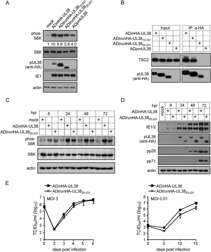 FIG 3