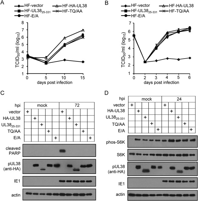 FIG 6