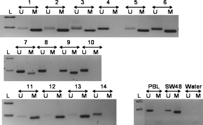 Fig. 2.