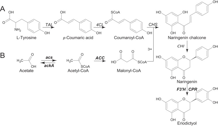 FIG 1