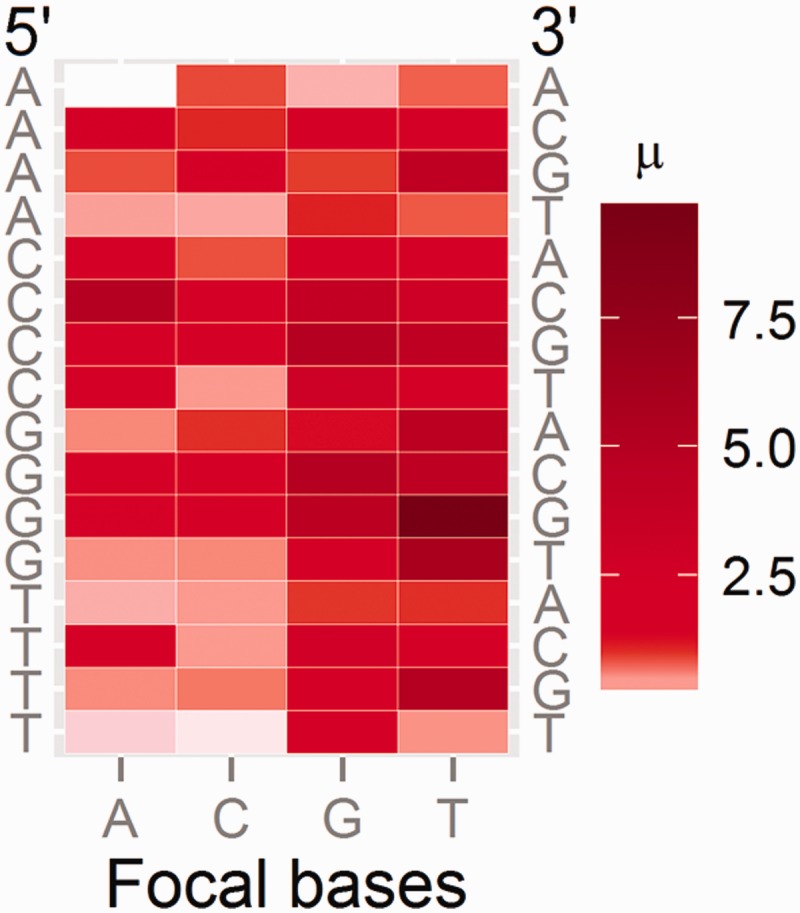 Fig. 4.—