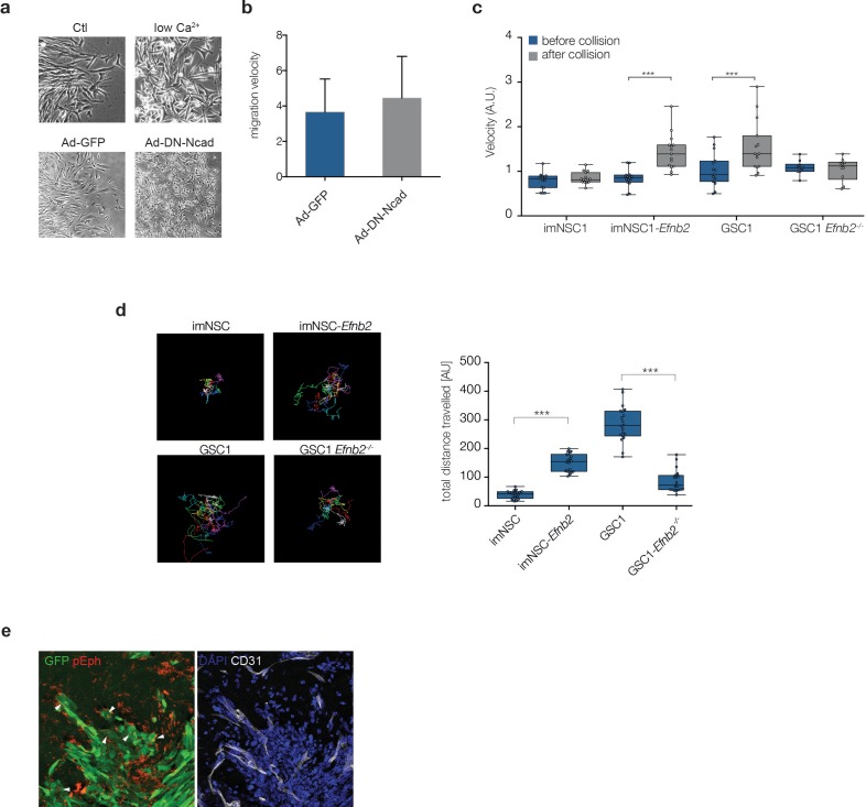 Figure 3—figure supplement 1.