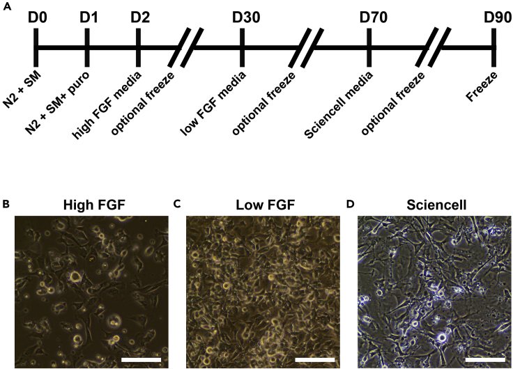 Figure 2