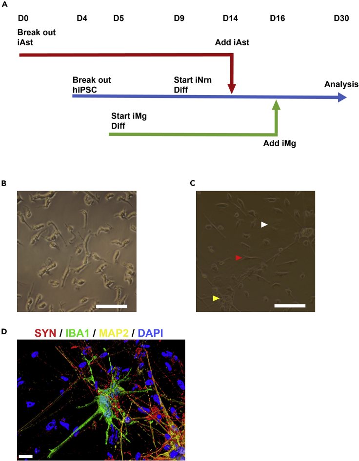 Figure 4